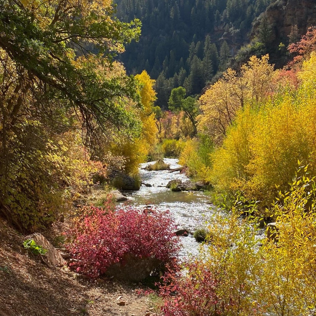 Top Dog-Friendly Hikes near Salt Lake&nbsp;City